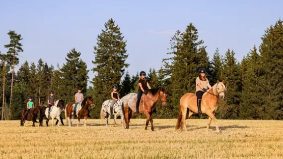 6 Gästekinder reiten auf Pferden und Ponys über eine Wiese